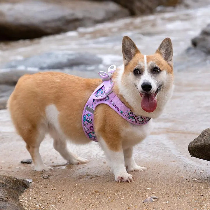 Stylish and breathable lightweight dog harness vest with vibrant print, adjustable straps, and reflective stitching for all breeds.