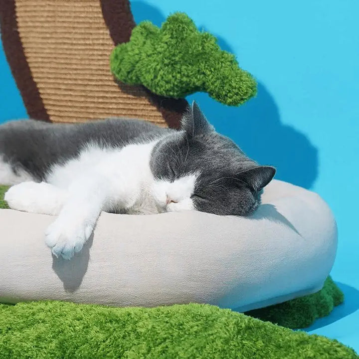 Cozy Pine Bonsai Cat Bed with removable cushion, eco-friendly materials, and multi-functional design for scratching, resting, and playing.