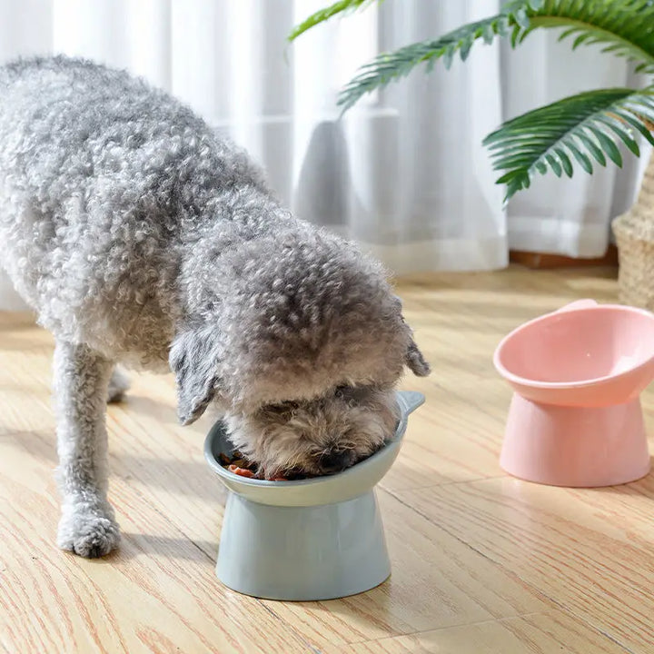 Plastic Cat Bowl | Ergonomic Design for Happy Pets - Gabby Whale