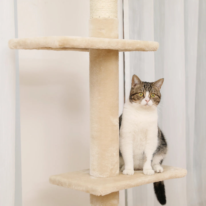 Adjustable Height Cactus Cat Tree - Gabby Whale