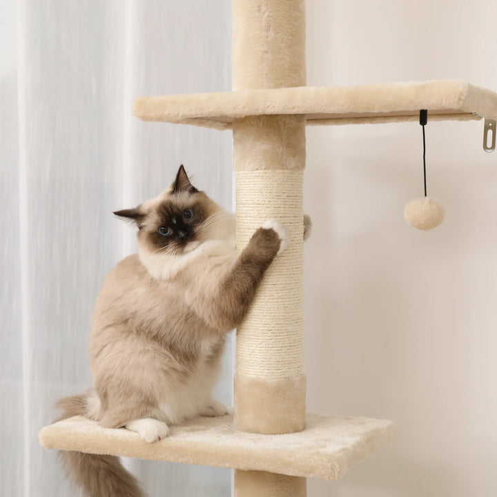 Adjustable Height Cactus Cat Tree - Gabby Whale