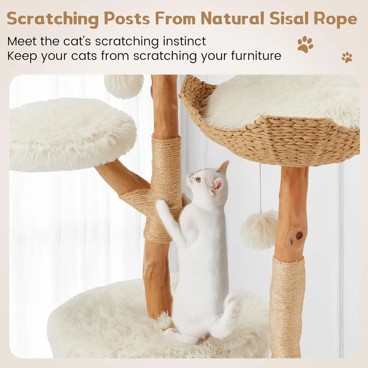 Multi-Level Cat Tree Tower | Natural Sisal Rope, Cozy Condos, and Hand-Woven Baskets - Gabby Whale