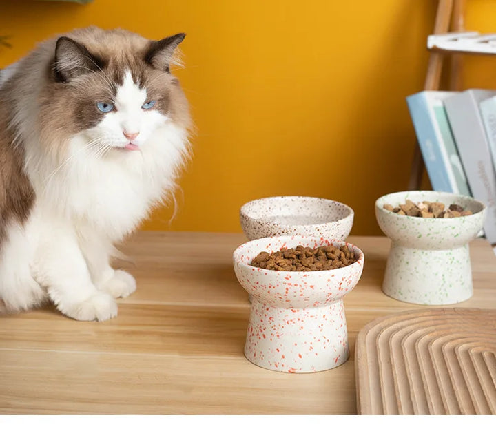 Ceramic Cat Bowl | Stylish Elevated Design - Gabby Whale