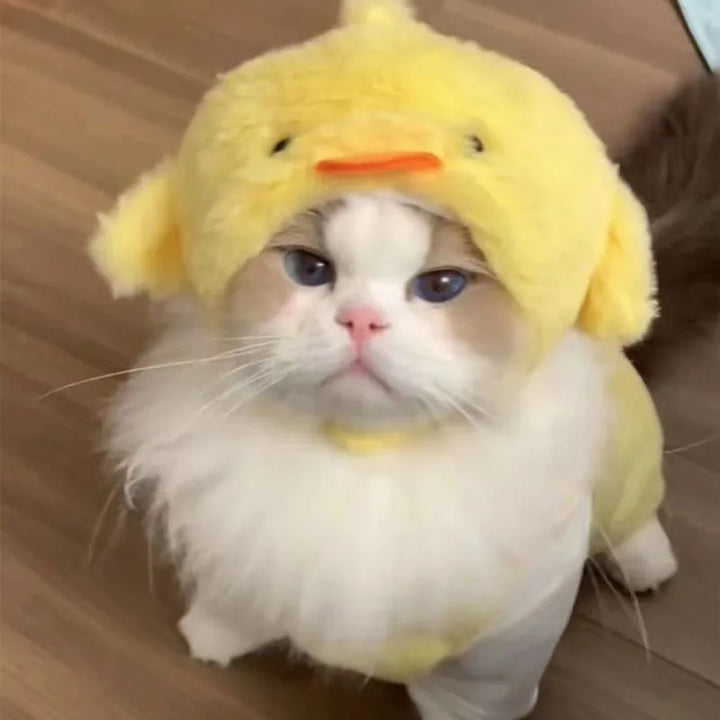 Funny Cat Hat | Plush Yarn Cosplay Cap - Gabby Whale