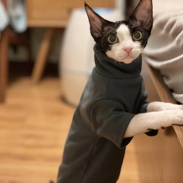 Soft Cotton Clothes for Sphynx Cats | Fall & Winter Outfits - Gabby Whale