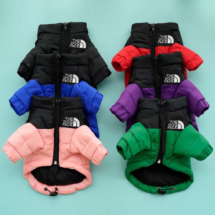 Winter Warm Cat Jacket | Windproof Coat - Gabby Whale