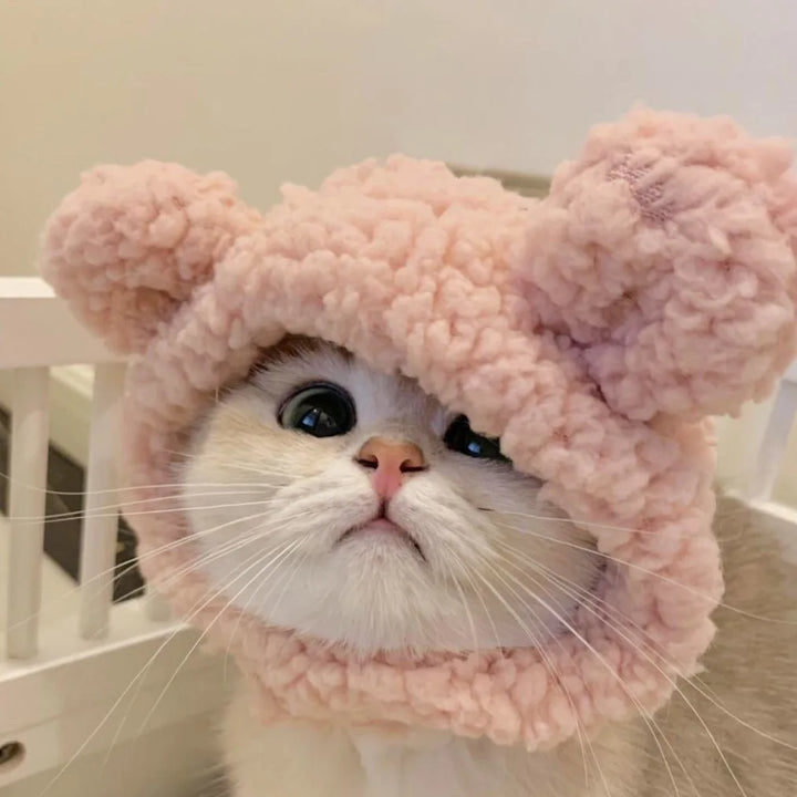 Funny Cat Hat | Plush Yarn Cosplay Cap - Gabby Whale