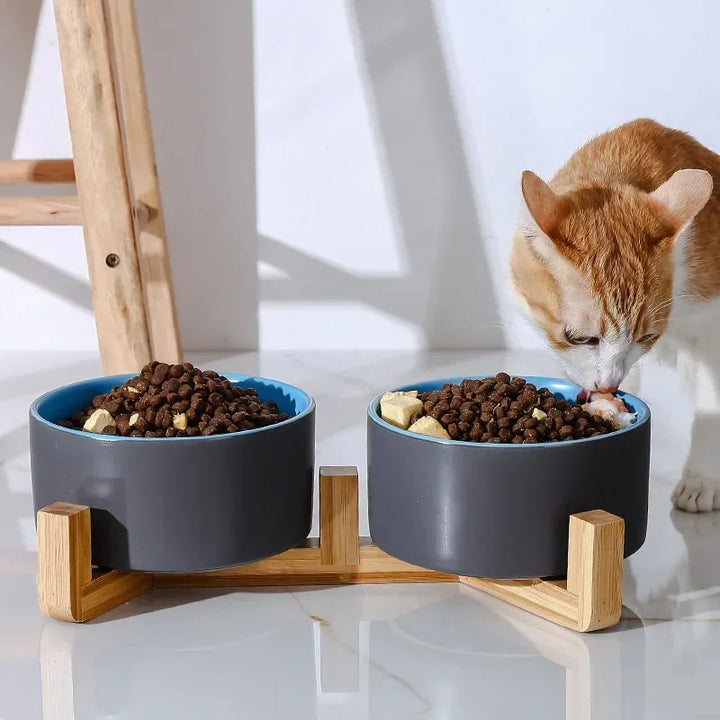 Premium Ceramic Cat Bowl | Wooden Base | Stylish & Functional! - Gabby Whale