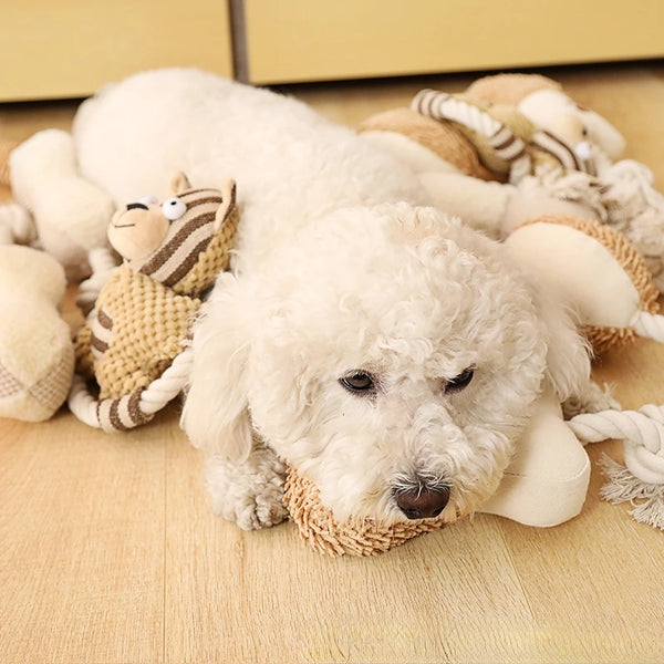 Dog Rope Toy with Squeaker
