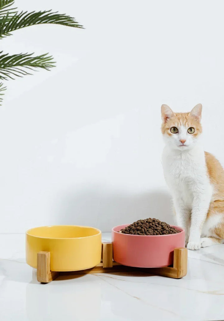 Premium Ceramic Cat Bowl | Wooden Base | Stylish & Functional! - Gabby Whale