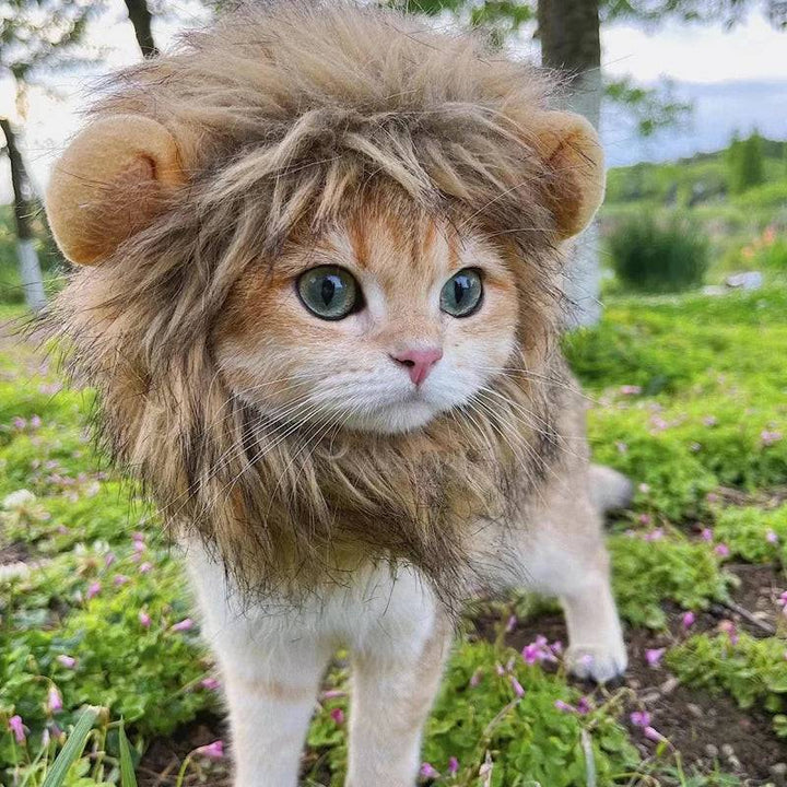 Pet Cosplay Hat | Lion Mane Wig - Gabby Whale