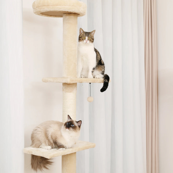 Adjustable Height Cactus Cat Tree - Gabby Whale