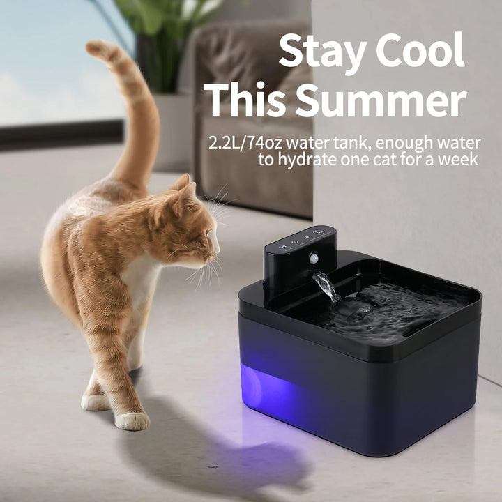 Automatic Cat Water Fountain | Wireless & Quiet Hydration - Gabby Whale