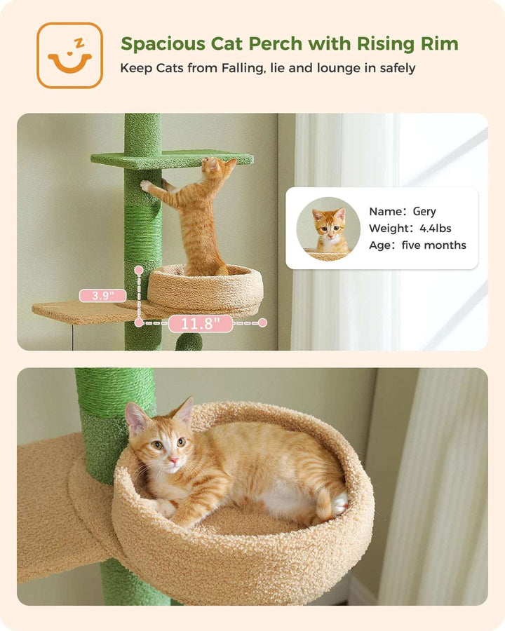 Adjustable Height Cactus Cat Tree - Gabby Whale