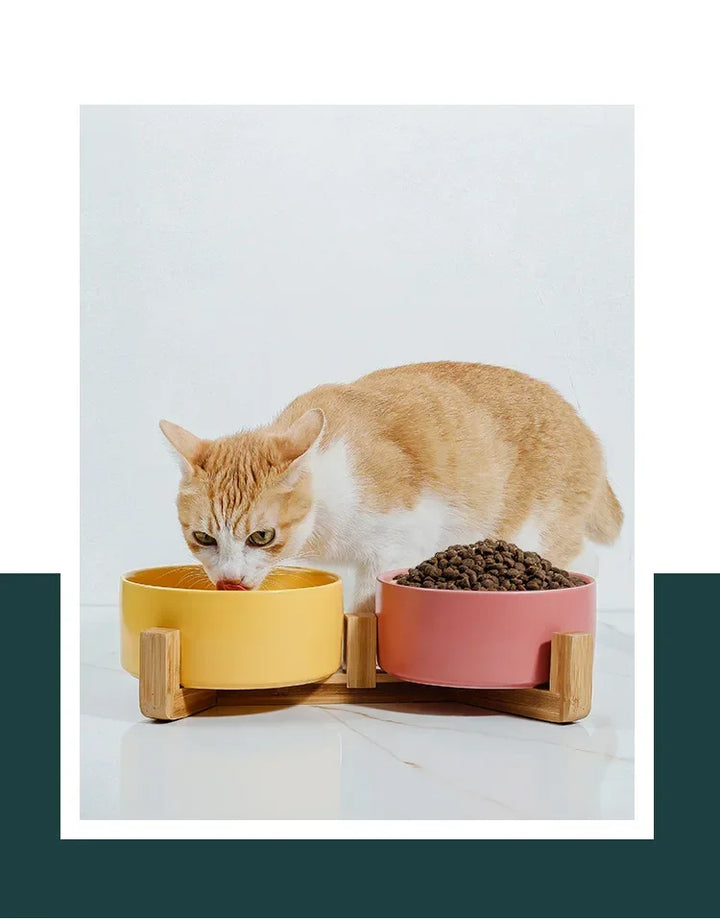 Premium Ceramic Cat Bowl | Wooden Base | Stylish & Functional! - Gabby Whale