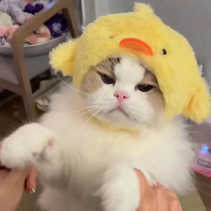 Funny Cat Hat | Plush Yarn Cosplay Cap - Gabby Whale