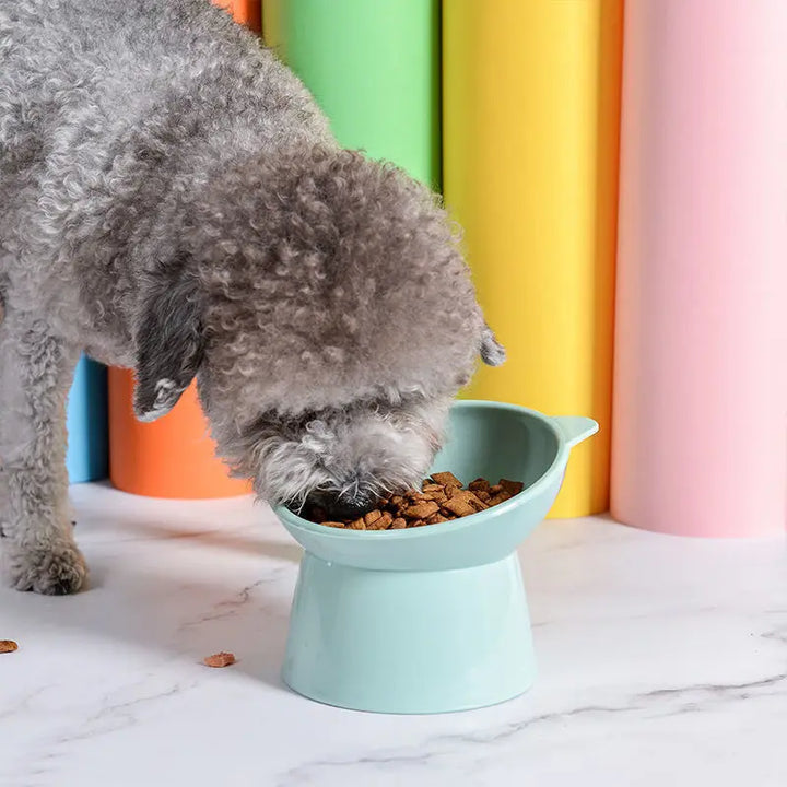 Plastic Cat Bowl | Ergonomic Design for Happy Pets - Gabby Whale