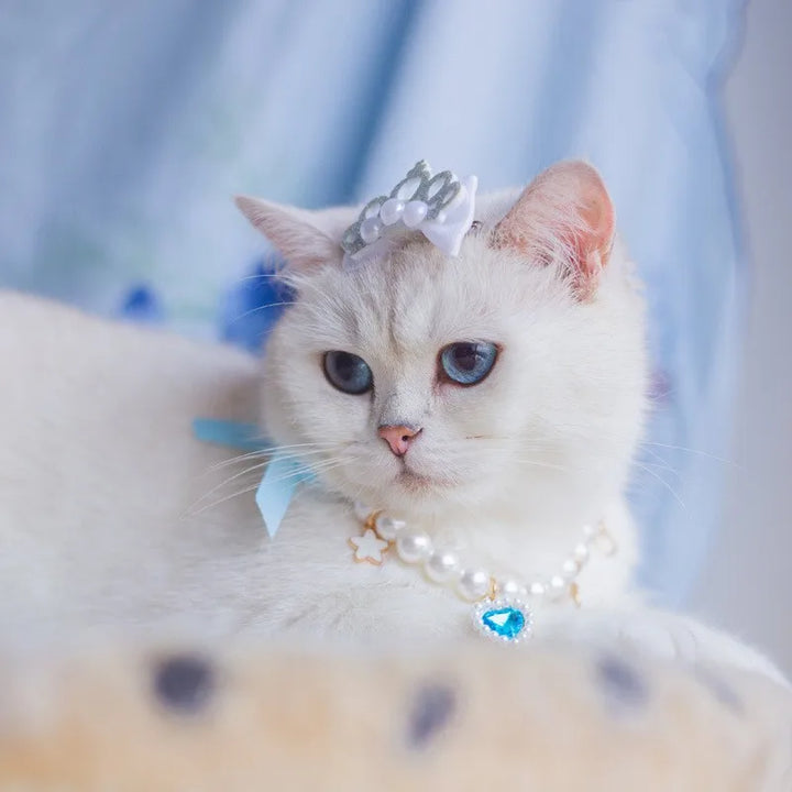 Cute Cat Skirt & Pearl Necklace Set | Party Outfit for Kittens - Gabby Whale