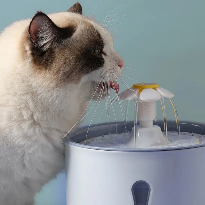 2.4L Cat Water Dispenser | LED Light & Smart Filtration - Gabby Whale