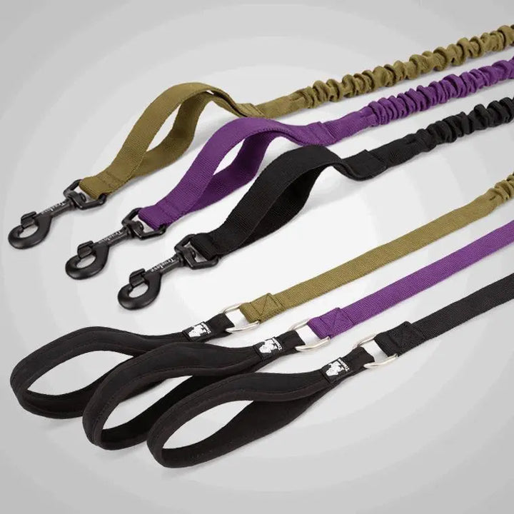 Shock Absorbing Training Leash with padded handle and bungee design for comfort and control.