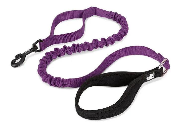 Shock Absorbing Training Leash with padded handle and bungee design for comfort and control.