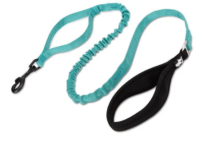 Shock Absorbing Training Leash - Gabby Whale