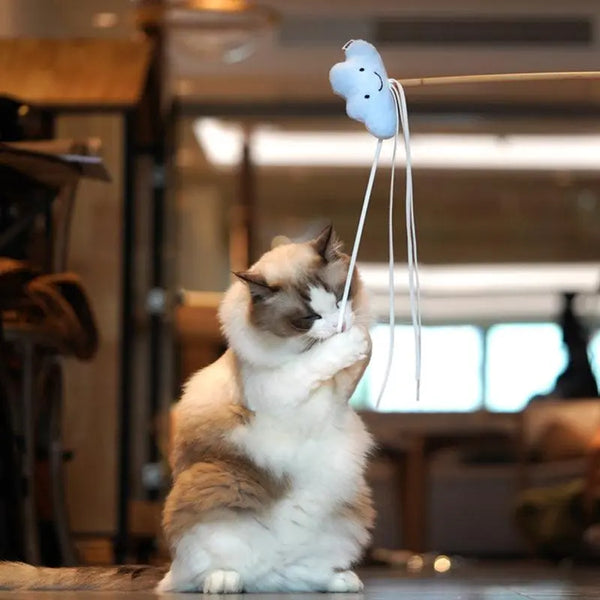 “Sparkling ribbon cat teaser wand for interactive play with indoor cats