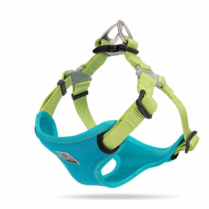 Truelove Step In Dog Harness in teal color, featuring an easy clip buckle, adjustable straps, reflective elements, and a soft neoprene lining for comfort and safety.