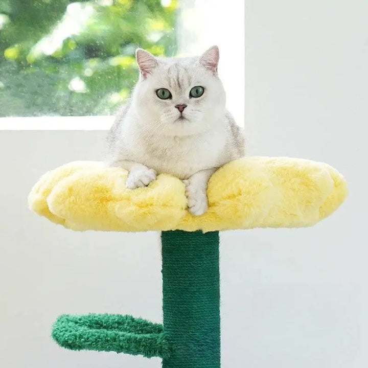 Flower Cat Bed – Stylish and Comfortable for Your Feline - Gabby Whale