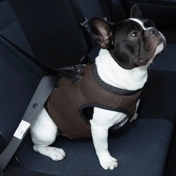 Car Safe Harness for Dogs – Crash-Tested Seat Vest - Gabby Whale