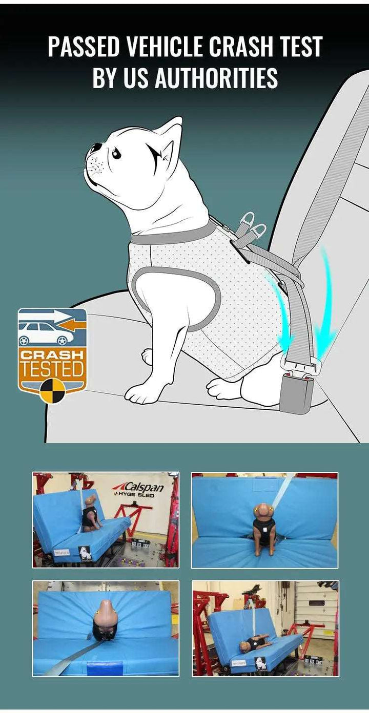 Car Safe Harness for Dogs – Crash-Tested Seat Vest - Gabby Whale