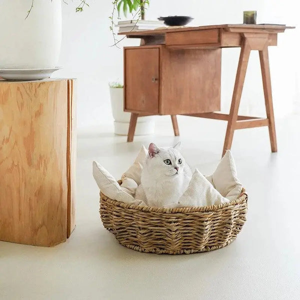Woven Rattan Pet Bed