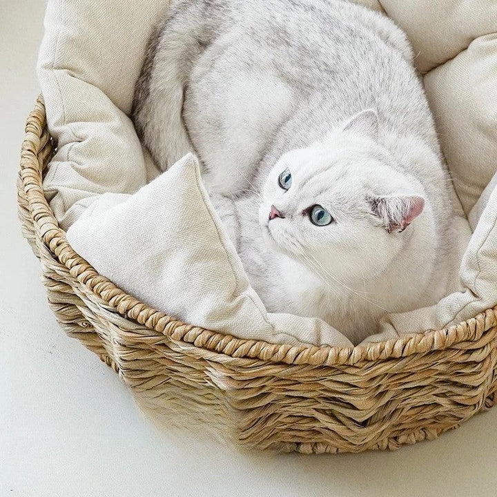 Woven rattan pet bed, hand-woven luxurious design, spacious and comfortable, suitable for all-season pet lounging.