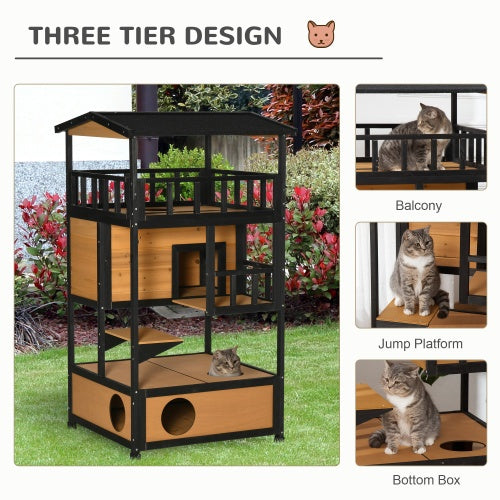 Wooden Outdoor Cat House, Wild Cat Shelter Kitten Tree Gabby Whale