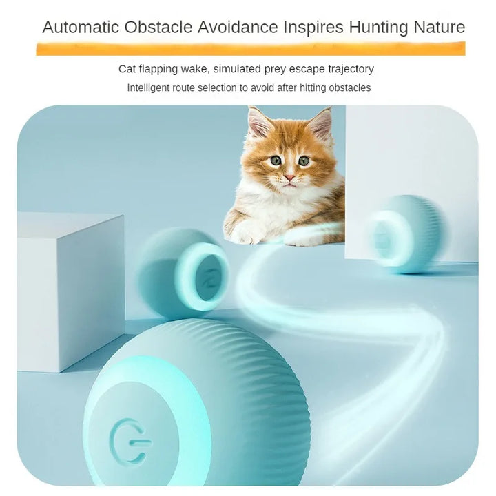 automatic obstacle-avoiding cat toy in motion