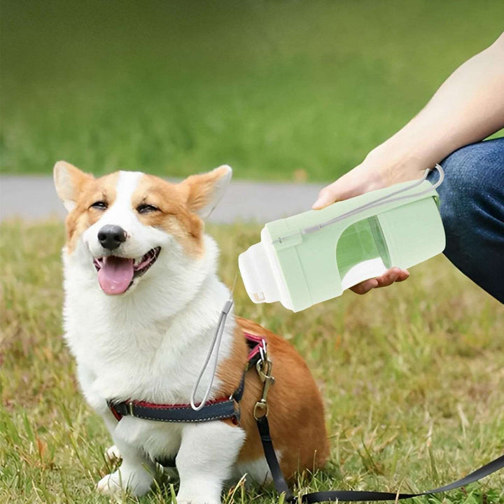 2 In 1 Travel Dog Water Bottle Pet Water Dispenser Feeder Drinking Feeder Dog Outing Water Feeder Pets Outdoor Portable Cup Pet Products - Gabby Whale