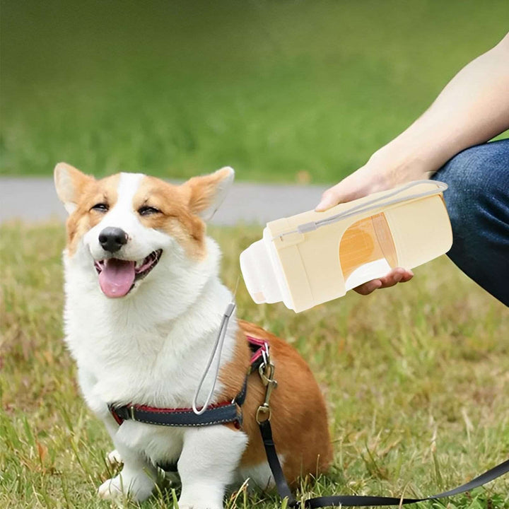 2 In 1 Travel Dog Water Bottle Pet Water Dispenser Feeder Drinking Feeder Dog Outing Water Feeder Pets Outdoor Portable Cup Pet Products - Gabby Whale