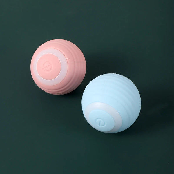 cat playing with interactive smart toy ball