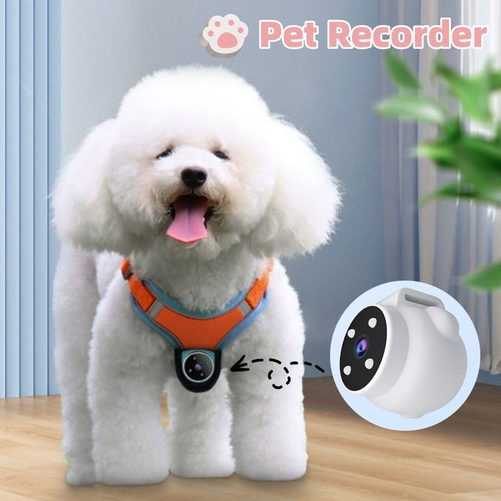 Pets Recorder Pet Tracker Collar Dogs And Cats Viewing Angle Motion Recording Camera Action Camera With Video Records Cat Collars Camera Sport Pet Products Gabby Whale