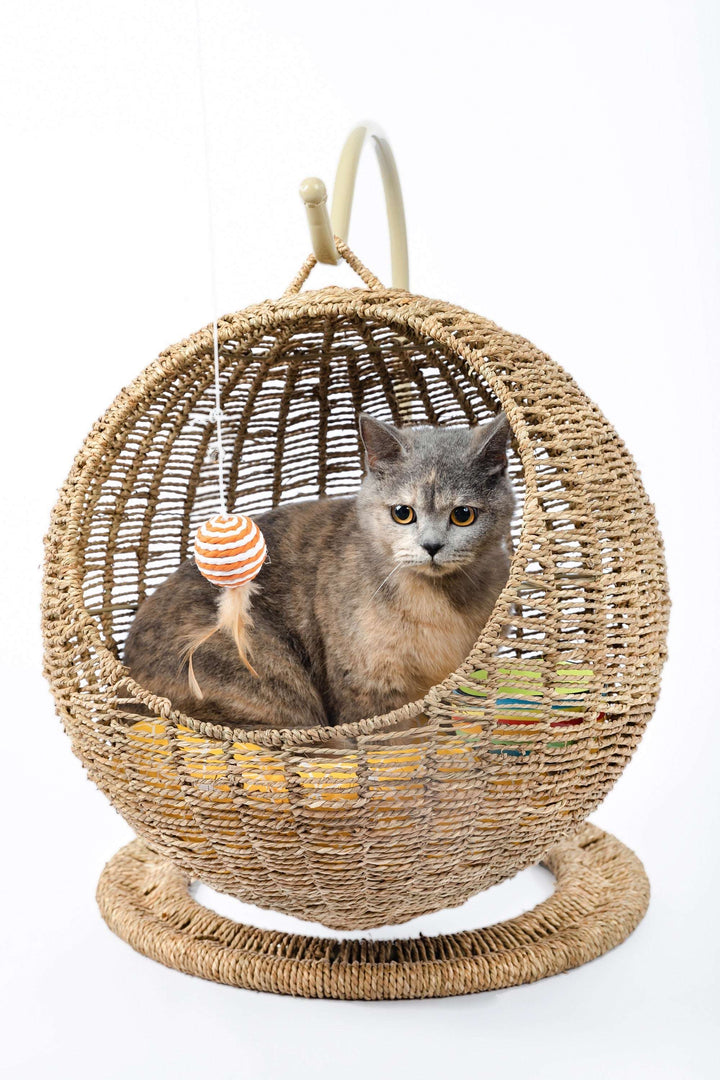 Hanging Cat Bed | Woven Round Pet Basket - Gabby Whale